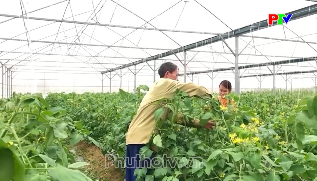 Thị trường tiêu dùng ngày 16-10-2026