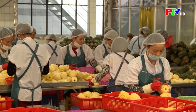 Thị trường tiêu dùng ngày 16-12-2025