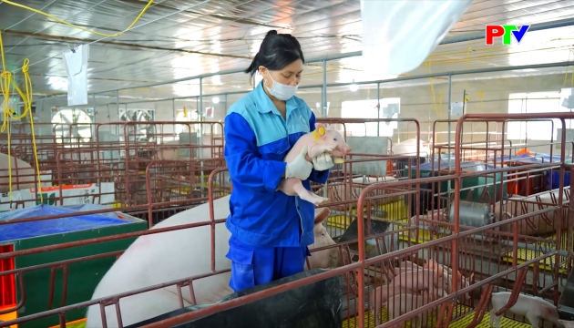 Thị trường tiêu dùng ngày 16-3-2026