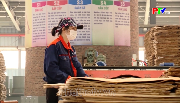Thị trường tiêu dùng ngày 17-06-2026