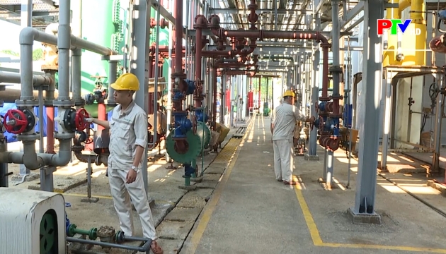 Thị trường tiêu dùng ngày 2-4-2026