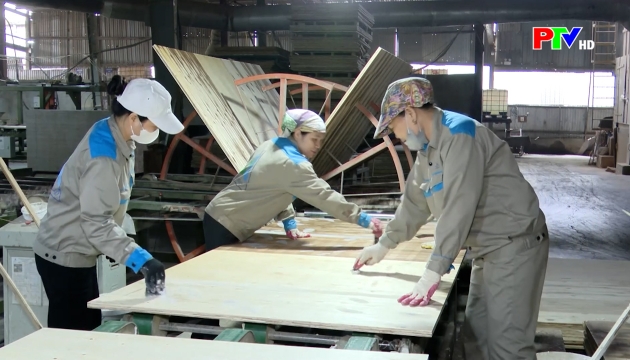 Thị trường tiêu dùng ngày 20-4-2026