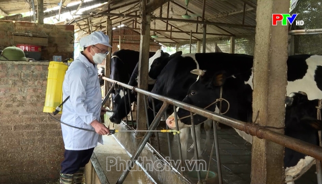 Thị trường tiêu dùng ngày 22-08-2026
