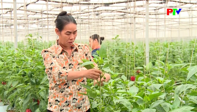 Thị trường tiêu dùng ngày 23-06-2026