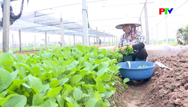 Thị trường tiêu dùng ngày 25-09-2026