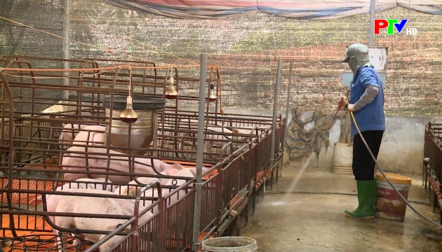 Thị trường tiêu dùng ngày 28-3-2026