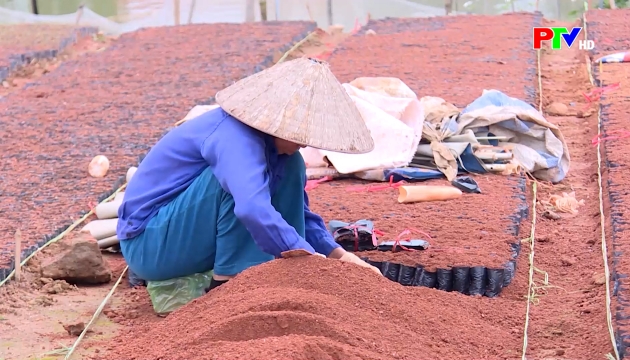 Thị trường tiêu dùng ngày 3-3-2026