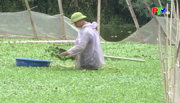 Thị trường tiêu dùng ngày 9-1-2026