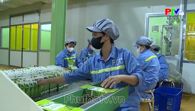 Thị trường tiêu dùng ngày 20-10-2026