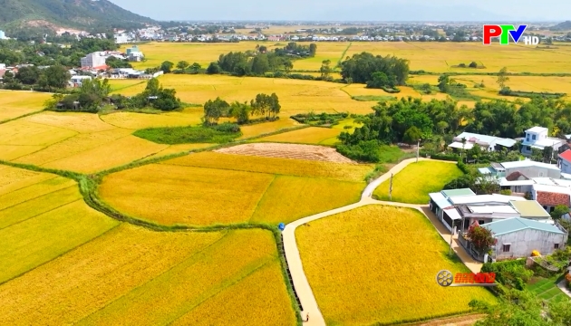 Phim tài liệu: Văn hóa còn thì dân tộc còn