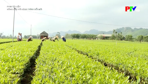 Phim tài liệu: Nông dân với hành trình đổi mới