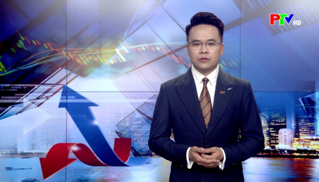 Thị trường tiêu dùng ngày 16-07-2026