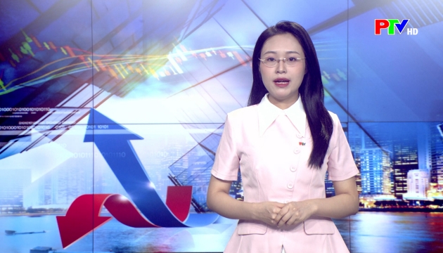 Thị trường tiêu dùng ngày 24-07-2026