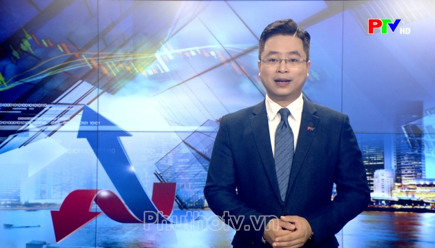 Thị trường tiêu dùng ngày 23-08-2026