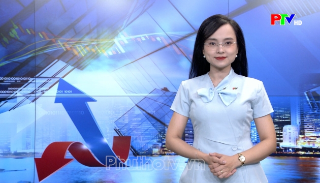 Thị trường tiêu dùng ngày 08-10-2026