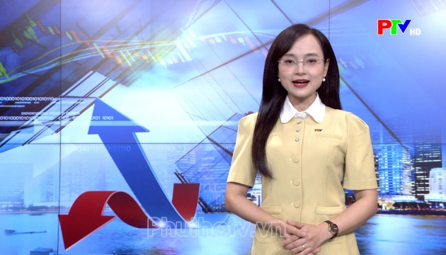 Thị trường tiêu dùng ngày 29-10-2026