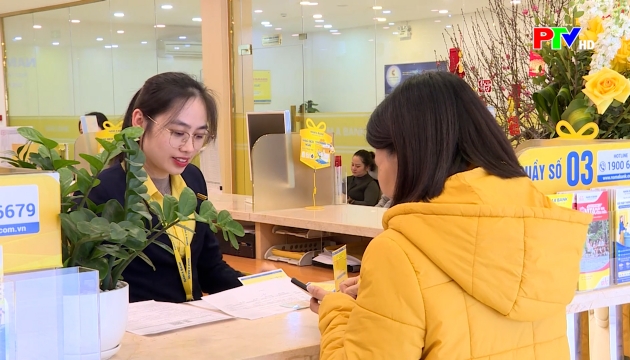 Thị trường tiêu dùng ngày 25-02-2026