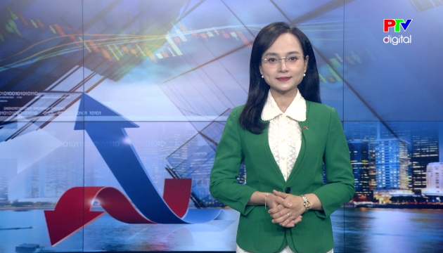 Thị trường tiêu dùng ngày 11-02-2026