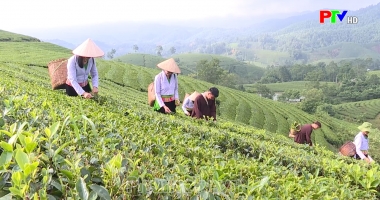 190 năm danh xưng Thanh Sơn