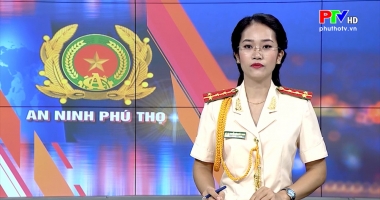 An ninh Phú Thọ - LLCA Phú Thọ - quá trình xây dựng, chiến đấu và trưởng thành