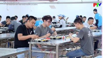 An toàn bữa ăn - Sức khỏe người lao động