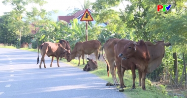 An toàn giao thông ngày 12-9-2025