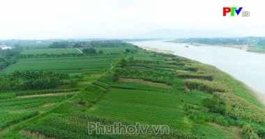 Bài ca quê hương đất Tổ