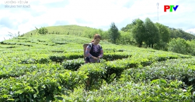 Bản làng thay áo mới