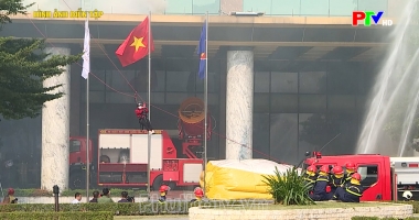 Bản tin 114 ngày 11-12-2024