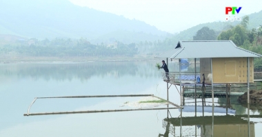 Bản tin 18h30 ngày 03-02-2026