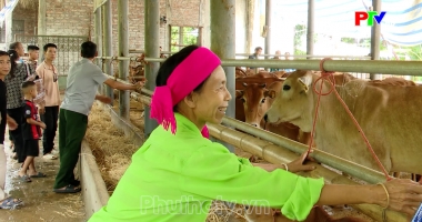 Bản tin 18h30 ngày 03-09-2026