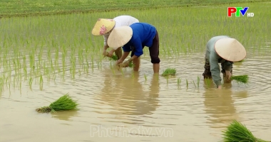 Bản tin 18h30 ngày 03-7-2026