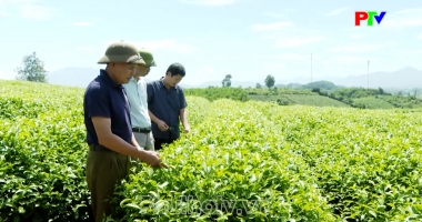 Bản tin 18h30 ngày 06-10-2026
