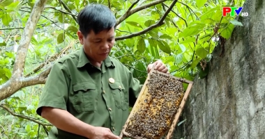 Bản tin 18h30 ngày 11-05-2026