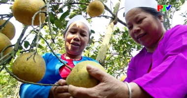 Bản tin 18h30 ngày 14-01-2026