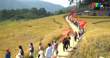 Bản tin 18h30 ngày 14-10-2026