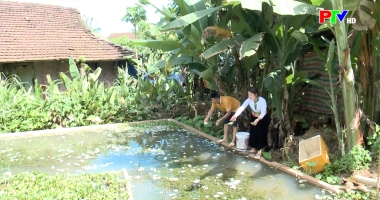 Bản tin 18h30 ngày 14-7-2026