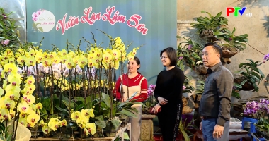 Bản tin 18h30 ngày 15-02-2026