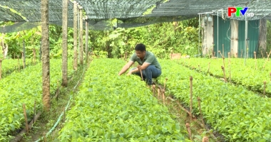 Bản tin 18h30 ngày 16-12-2025