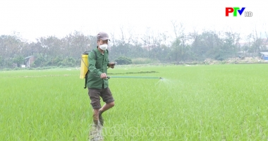 Bản tin 18h30 ngày 21-2-2024