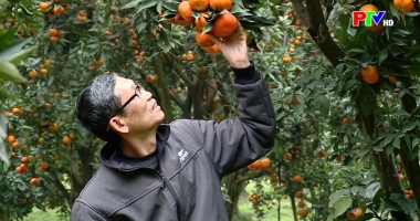 Bản tin 18h30 ngày 23-01-2026