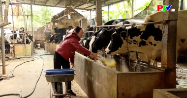 Bản tin 18h30 ngày 26-01-2026