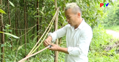 Bản tin 18h30 ngày 26-08-2026