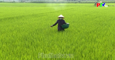 Bản tin 18h30 ngày 29-7-2026