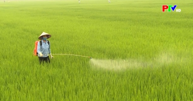 Bản tin 18h30 ngày 3-4-2026