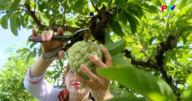 Bản tin 18h30 ngày 30-09-2026