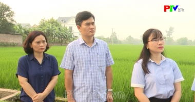 Bản tin 18h30 ngày 7-4-2024