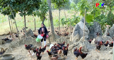 Bản tin 18h30 ngày 8-4-2026