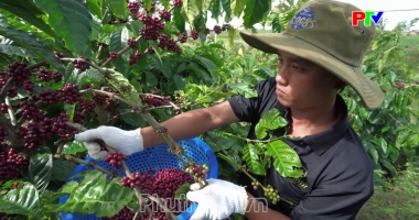 Bản tin quốc tế 11h45 ngày 14-08-2026