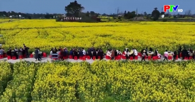 Bản tin quốc tế 11h45 ngày 17-4-2026